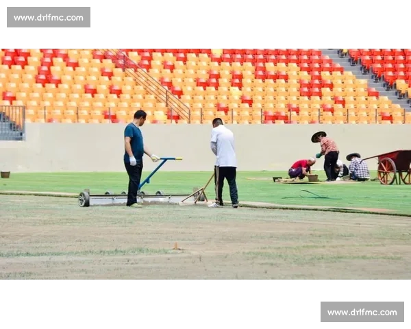 世界杯草坪专家解读比赛场地维护与球场草坪技术革新
